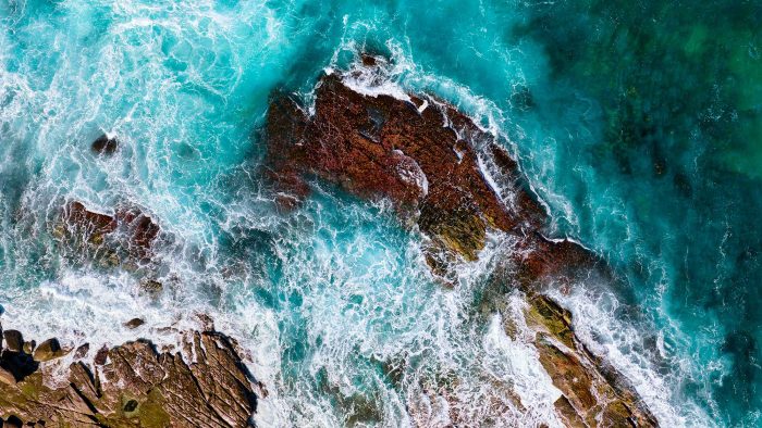 The Coastal Edit